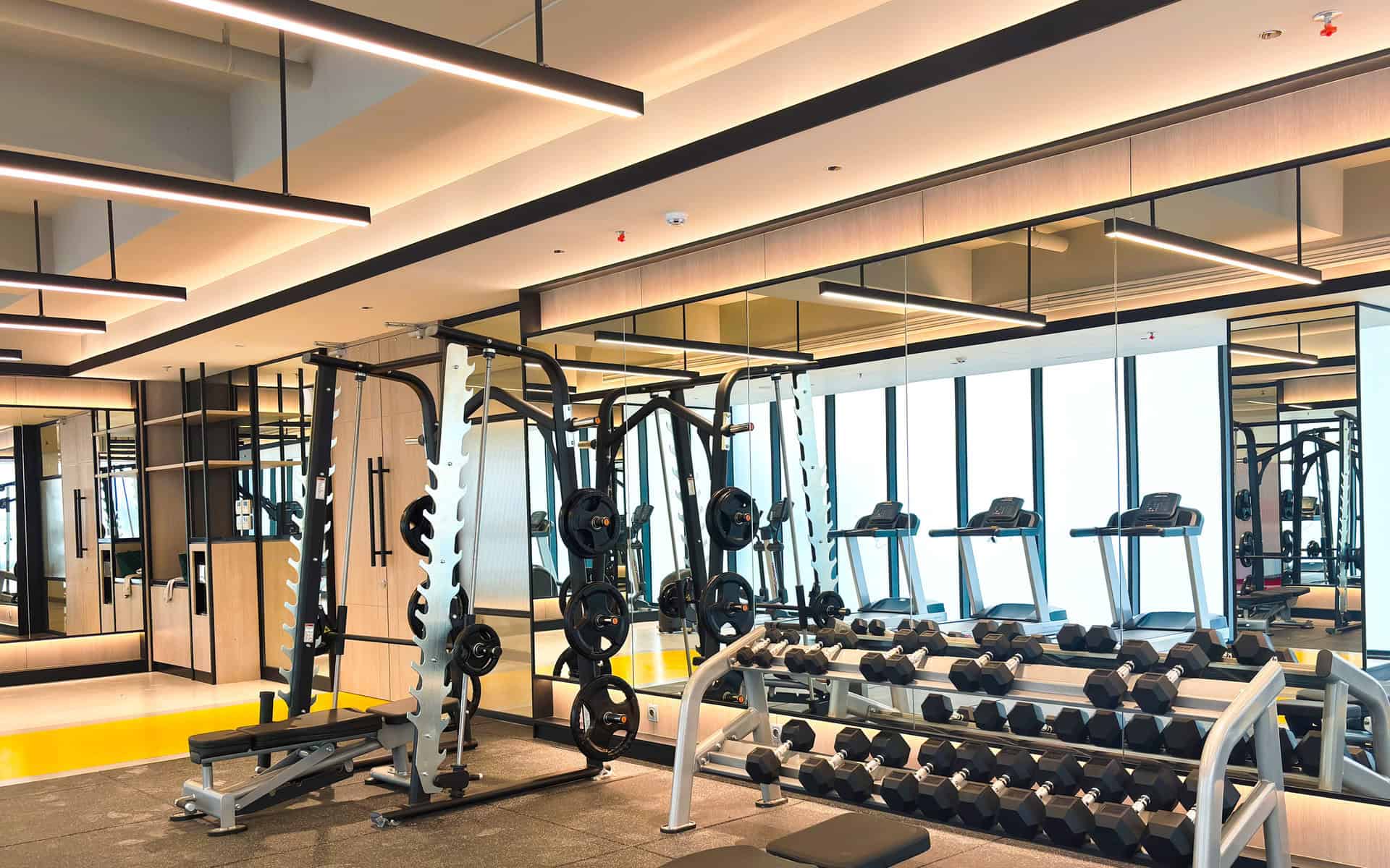 Muscle up Playground